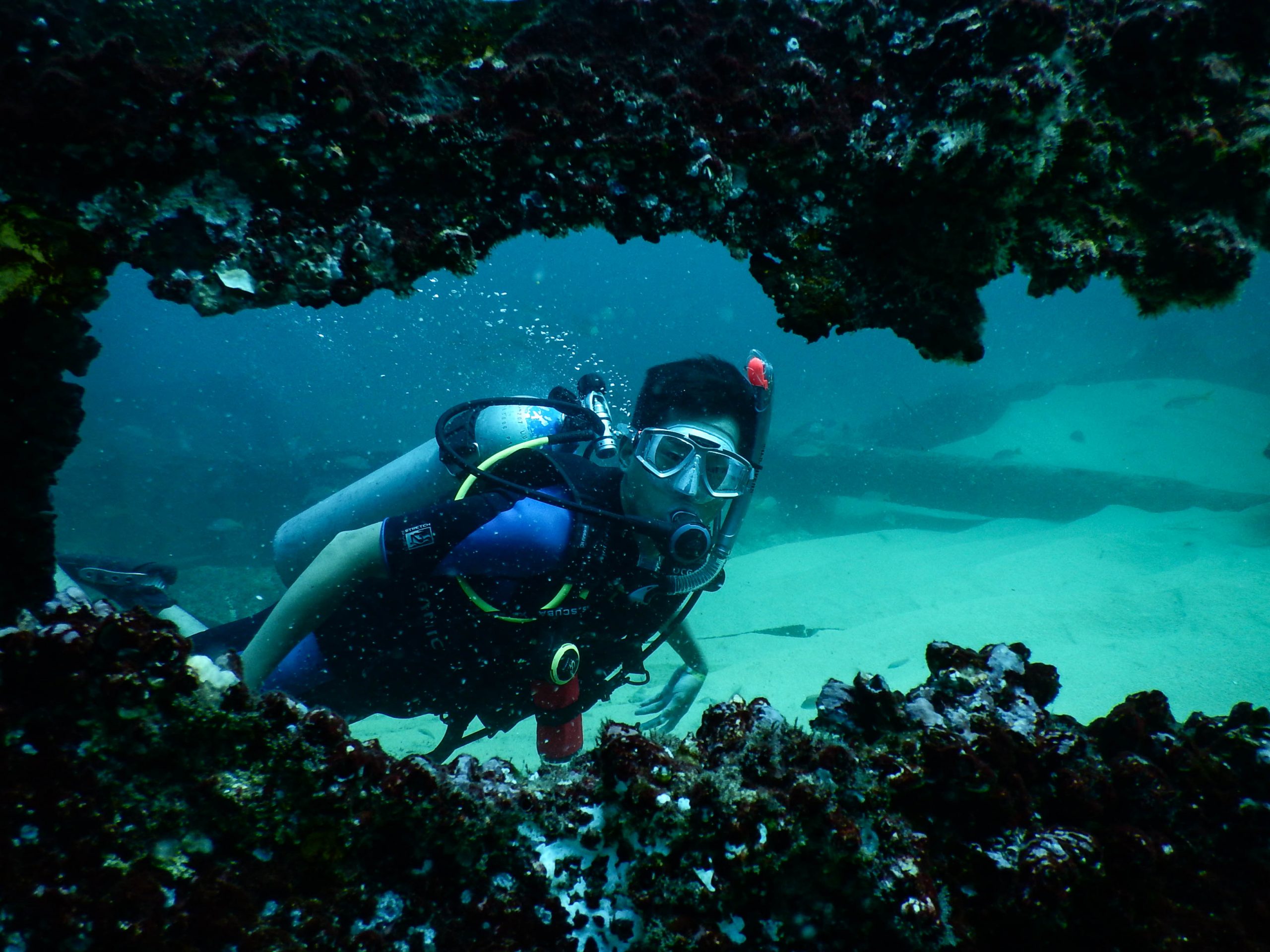 Discover Scuba diving in Cabo San Lucas