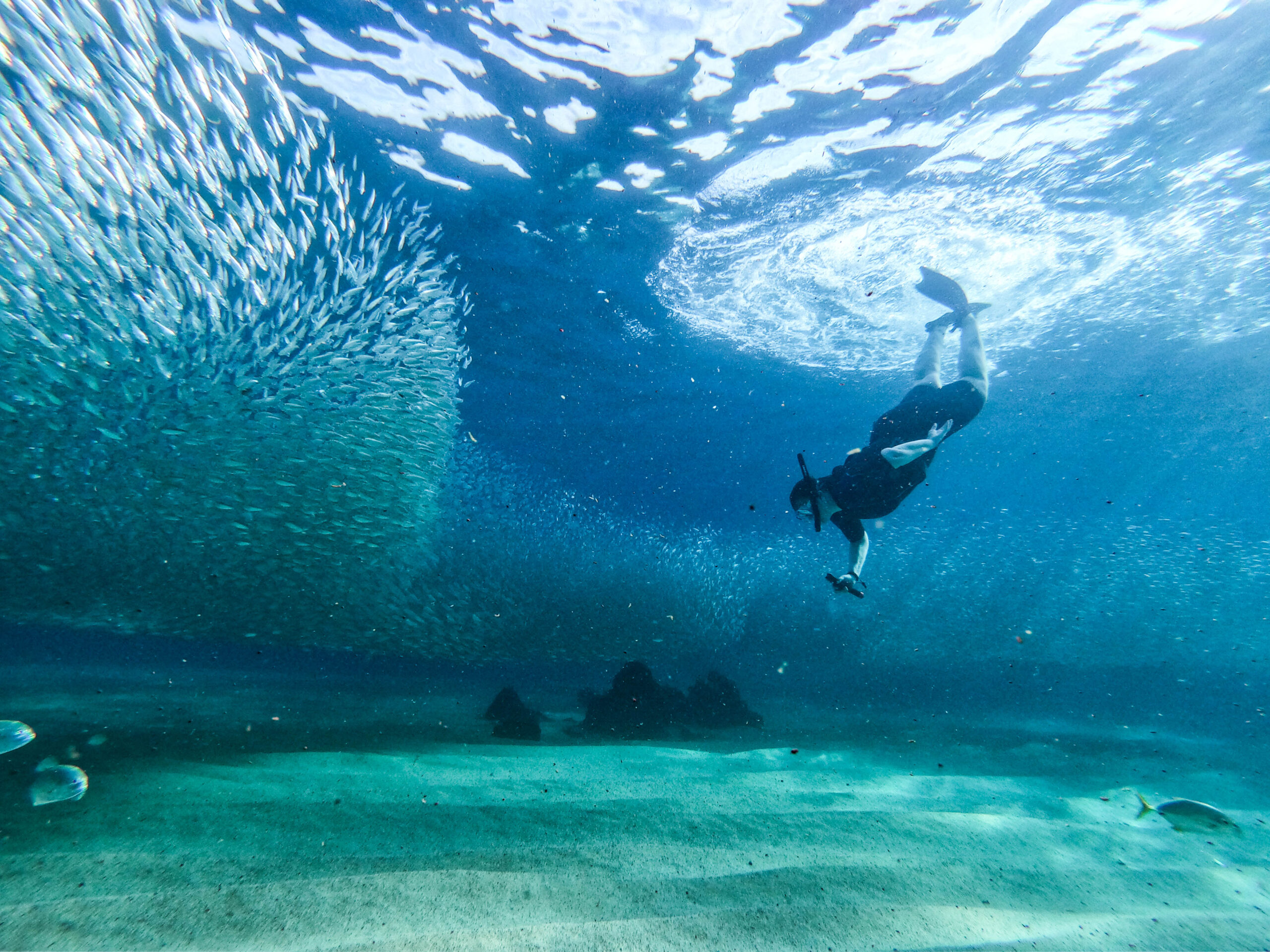 Snorkel tour Cabo San Lucas